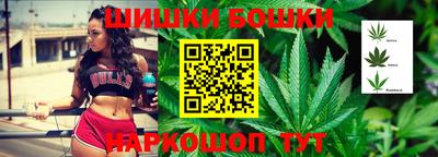 МДПВ Гусев
