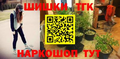 МДПВ Гусев
